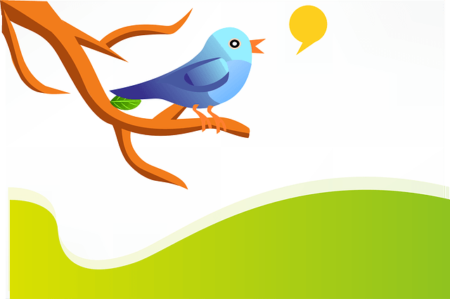 Cách thiết lập trang web giống Twitter của bạn bằng chủ đề WordPress P2 1 Cách thiết lập trang web giống Twitter của bạn bằng chủ đề WordPress P2