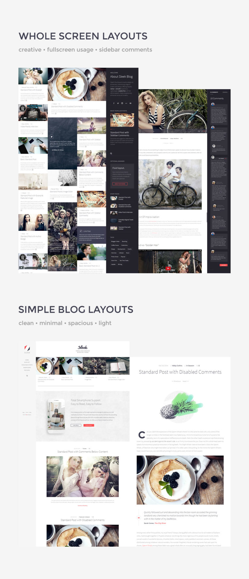 Sleek Responsive Creative WordPress Blog Theme Demo