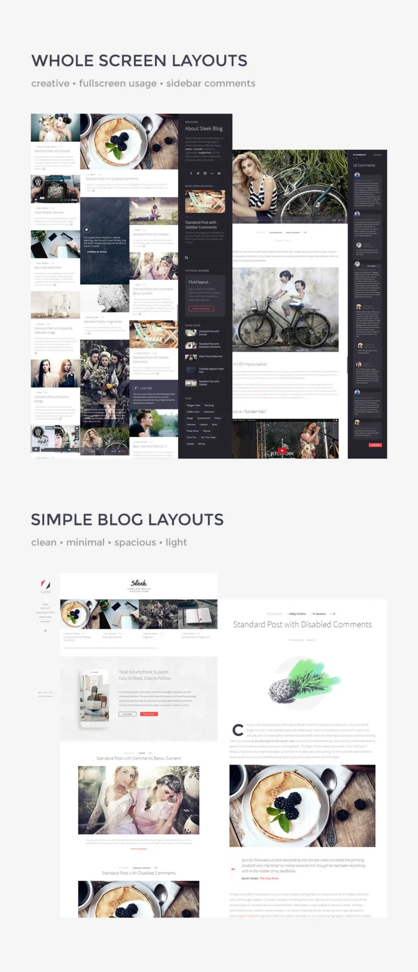 Sleek Responsive Creative WordPress Blog Theme Demo