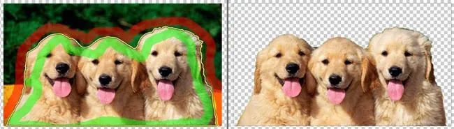 Cách xóa hình nền 11 clippingmagic xóa nền