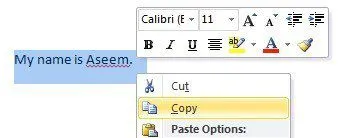 Hướng dẫn cơ bản để sửa chữa tệp Word bị hỏng 7 sao chép văn bản từ
