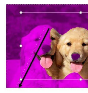 Cách xóa hình nền 4 kéo để giữ khu vực