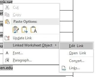Chèn một bảng tính Excel vào một tài liệu Word 3 chỉnh sửa bảng tính từ
