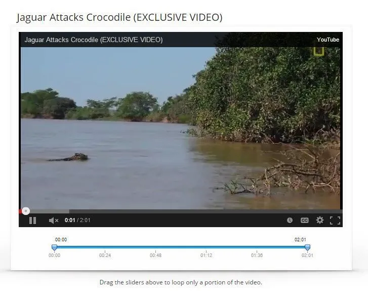 Cách tạo video YouTube liên tục 8 trang web video vòng lặp