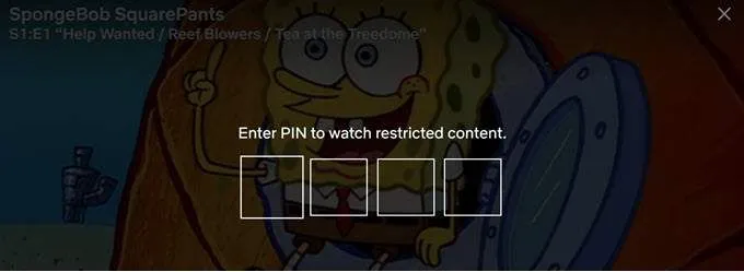 Cách sử dụng tính năng kiểm soát của cha mẹ trên Netflix 6 Cách sử dụng tính năng kiểm soát của cha mẹ trên Netflix