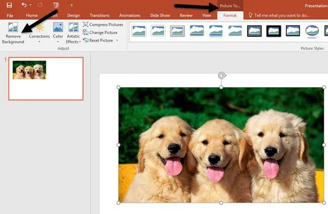 Cách xóa hình nền 2 xóa khung nền