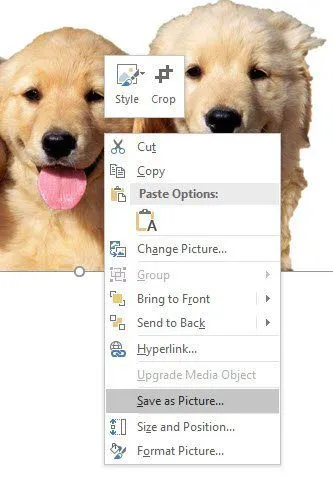 Cách xóa hình nền 7 lưu lại như hình