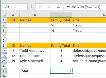 Cách lọc dữ liệu trong Excel 22 tổng phụ trên bộ lọc