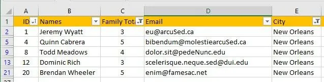 Cách lọc dữ liệu trong Excel 9 hai bộ lọc excel