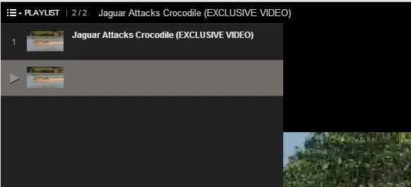 Cách tạo video YouTube liên tục 3 danh sách phát youtube