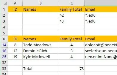Cách lọc dữ liệu trong Excel 20 sai tổng số bộ lọc