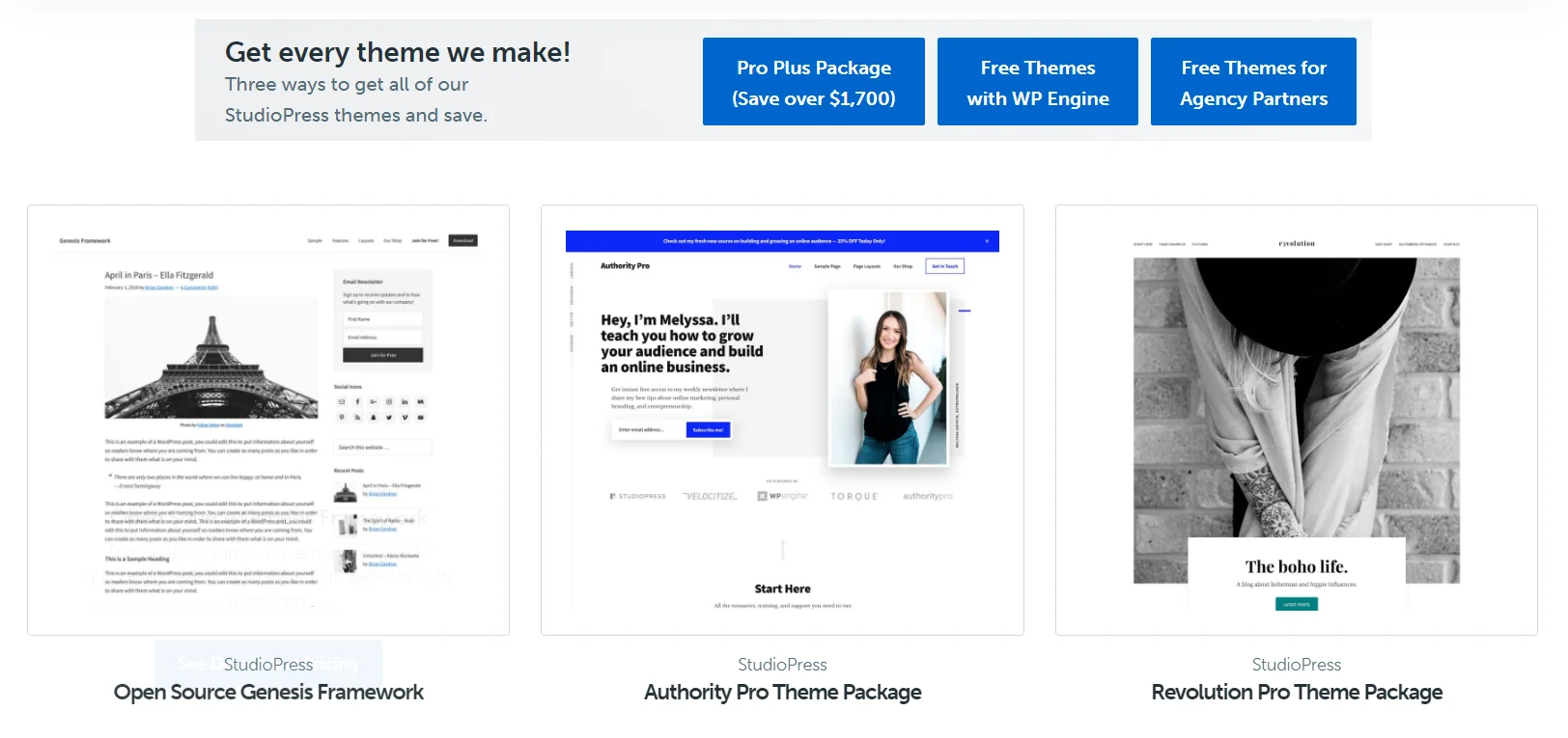 Premium WordPress Themes - StudioPress
