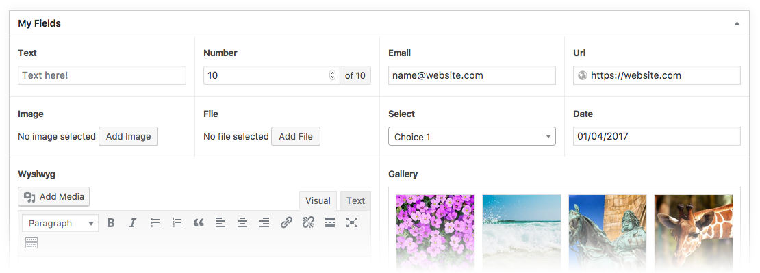Tính năng ACF - Advanced Custom Fields Pro Plugin
