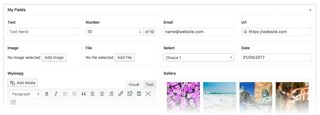 Advanced Custom Fields Pro v6.4.2 - WordPress Plugin 1 Tính năng ACF - Advanced Custom Fields Pro Plugin