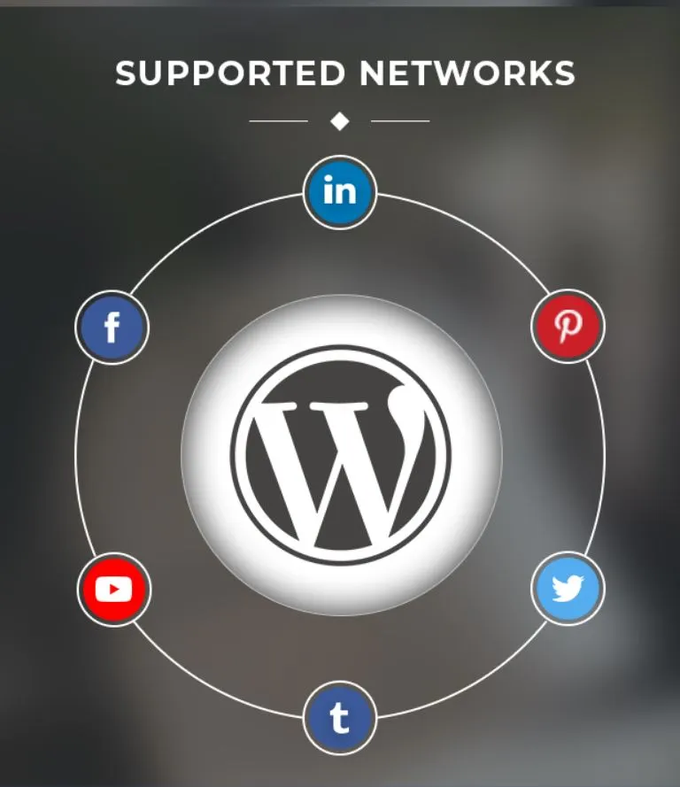 Tính năng Social Auto Poster - WordPress Plugin