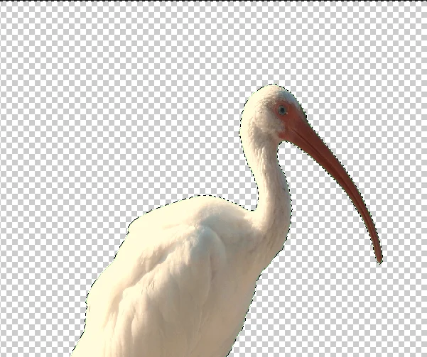 Cách thêm nền vào hình ảnh màn hình xanh trong Photoshop 11 Cách thêm nền vào hình ảnh màn hình xanh trong Photoshop