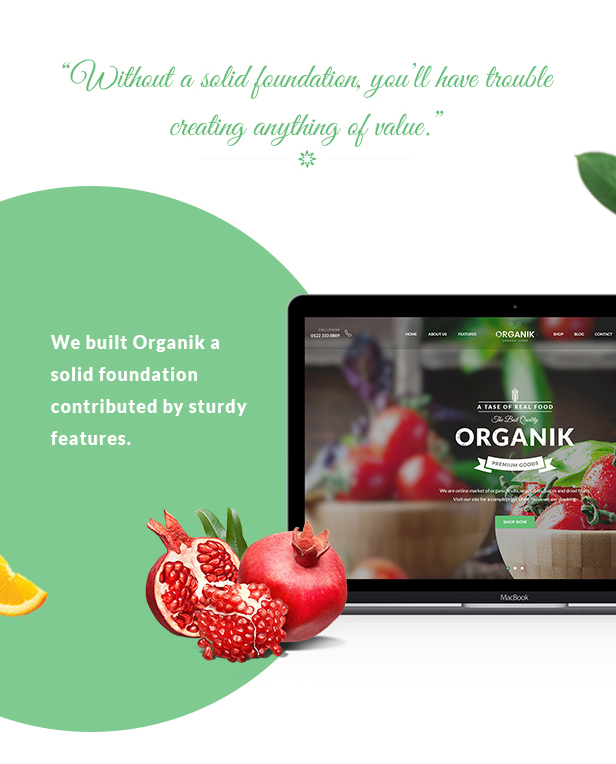 Thực phẩm hữu cơ WordPress Theme