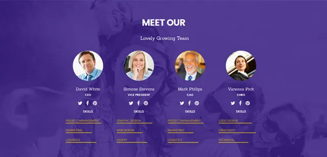 ảnh chụp màn hình