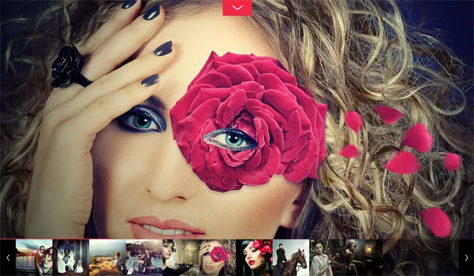 bộ sưu tập đầy đủ