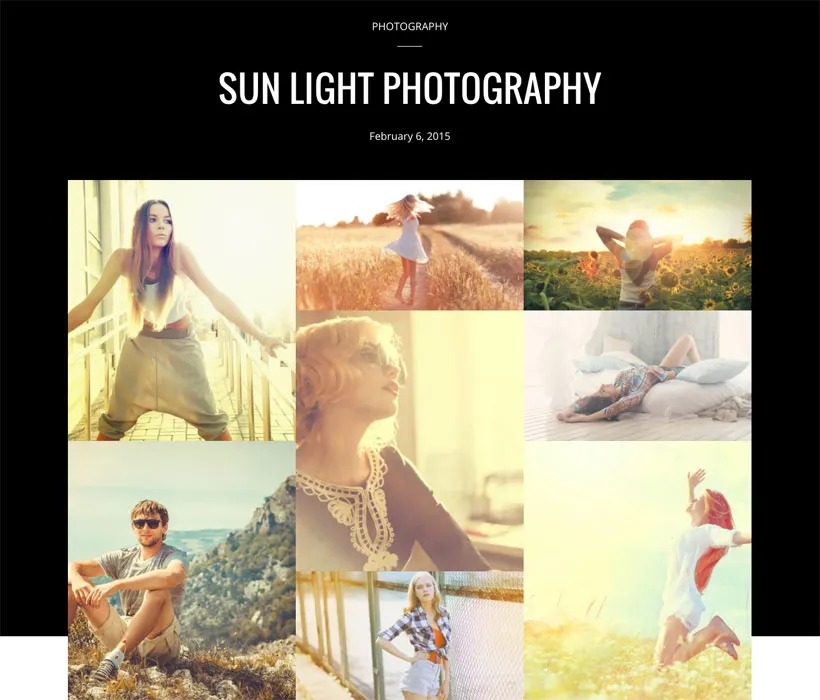 Themify Landing WordPress Theme v1.6.3 41 danh mục đầu tư