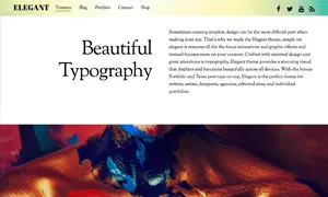 ảnh chụp màn hình