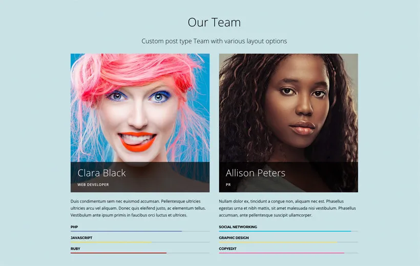 Themify Corporate v2.0.5 - Business & Portfolio WordPress Theme 21 ảnh chụp màn hình