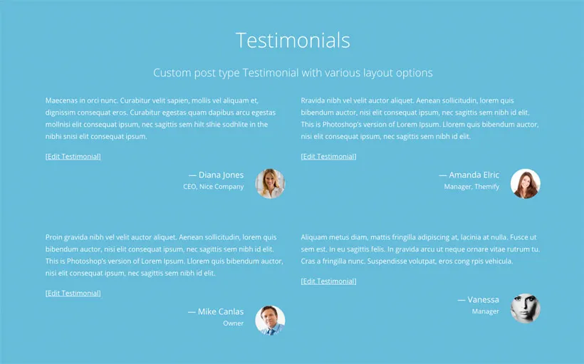 Themify Corporate v2.0.5 - Business & Portfolio WordPress Theme 20 ảnh chụp màn hình