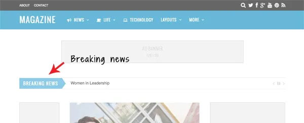 Themify Magazine v5.6.1 - A True Drag & Drop Builder for Magazine Layouts 13 ảnh chụp màn hình