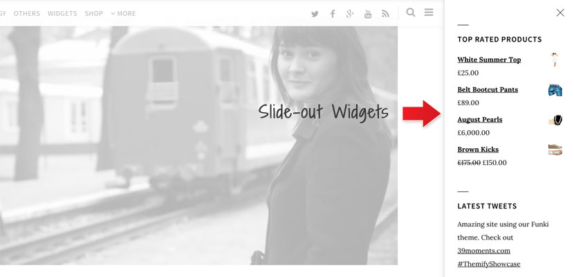 Themify Infinite WordPress Theme v1.5.1 13 Vật dụng trượt ra