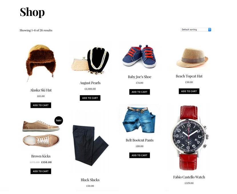Themify Infinite WordPress Theme v1.5.1 15 WooCommerce ủng hộ