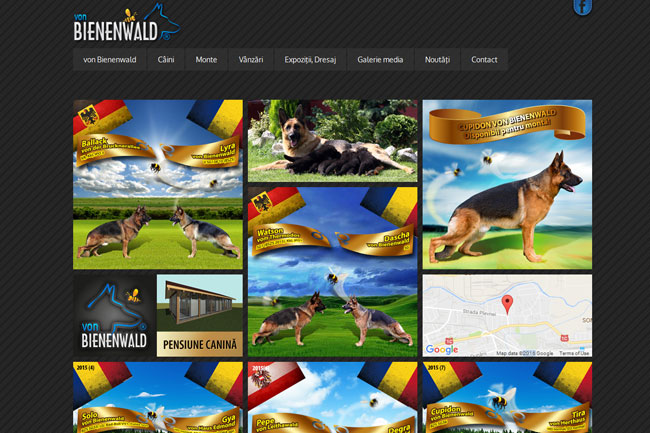 Themify Metro v5.6.4 - Windows 8 Metro WordPress Theme