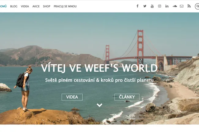 Simple Theme by Themify