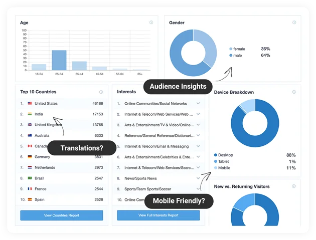 MonsterInsights Pro demo 2