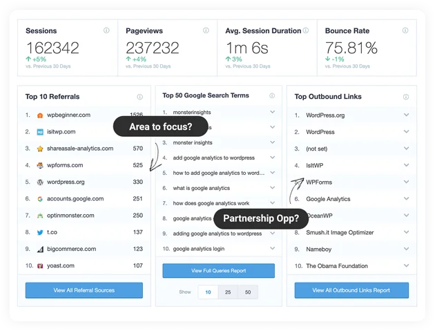 MonsterInsights Pro demo 3