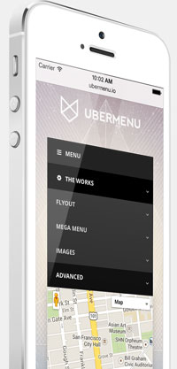 Responsive & Mobile Optimized