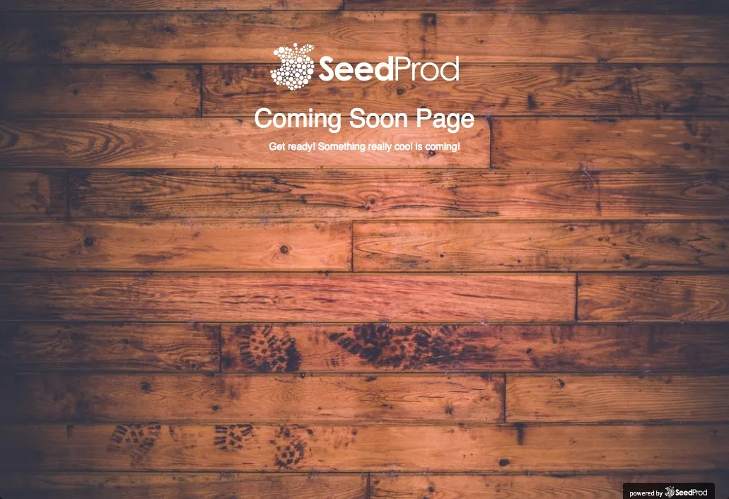 SeedProd Coming Soon Page Pro v6.11.0 - WordPress Plugin 9 SeedProd Coming Soon Page Pro image 2