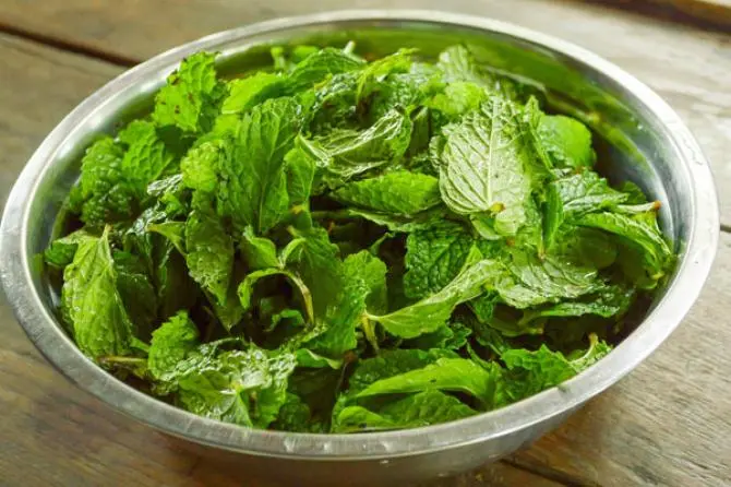 các biện pháp khắc phục mụn tự nhiên