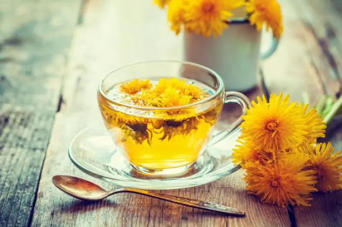 trà bồ công anh để giảm cân 