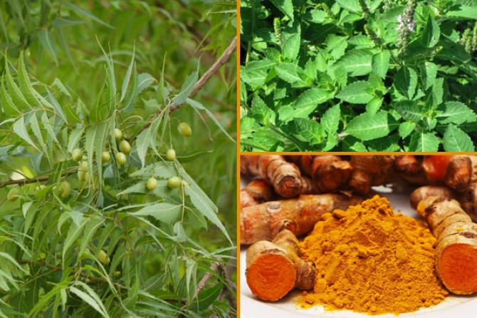 Mặt nạ Ayurvedic tự chế