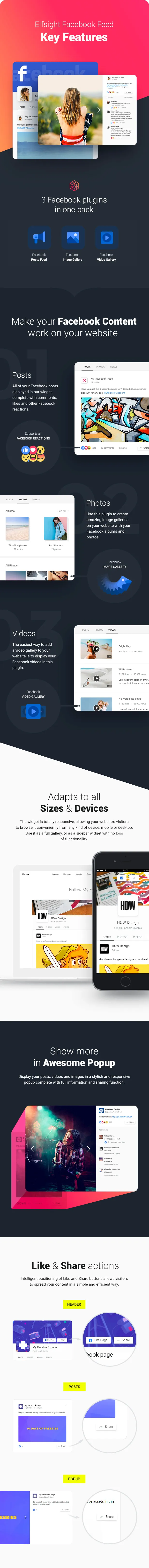 Nguồn cấp dữ liệu Facebook - WordPress Plugin Facebook - 2