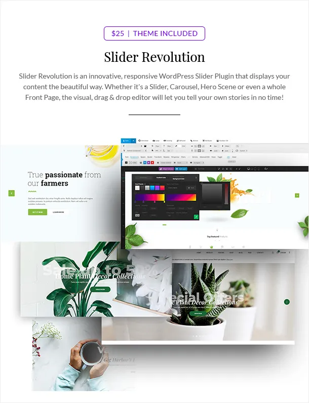 GreenMart v4.2.6 NULLED – Organic & Food WooCommerce WordPress Theme 10 GreenMart – Organic & Food WooCommerce WordPress Theme - 13