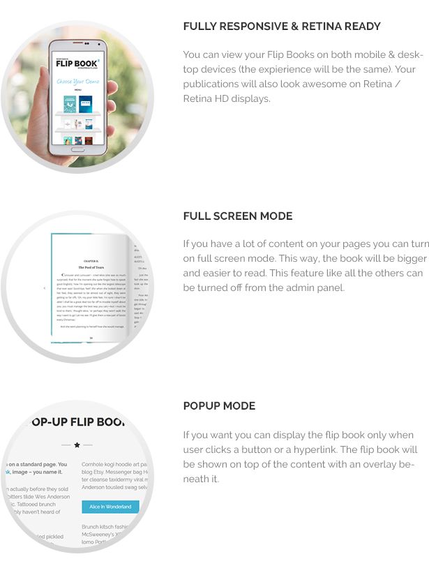 Plugin FlipBook đáp ứng - 9