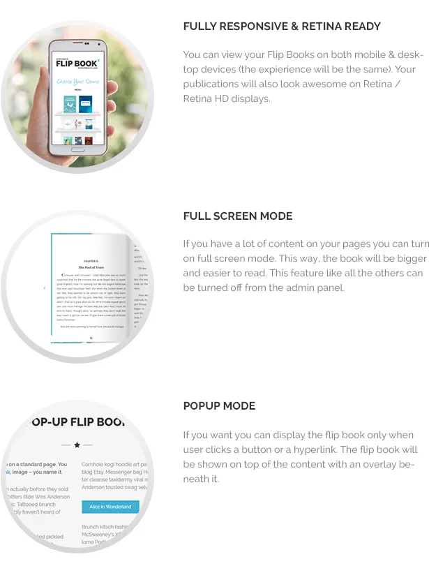 Plugin FlipBook đáp ứng - 9
