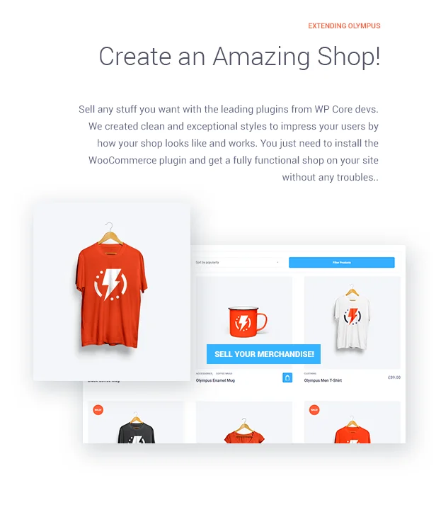 Olympus - Social Networking WordPress Theme 9