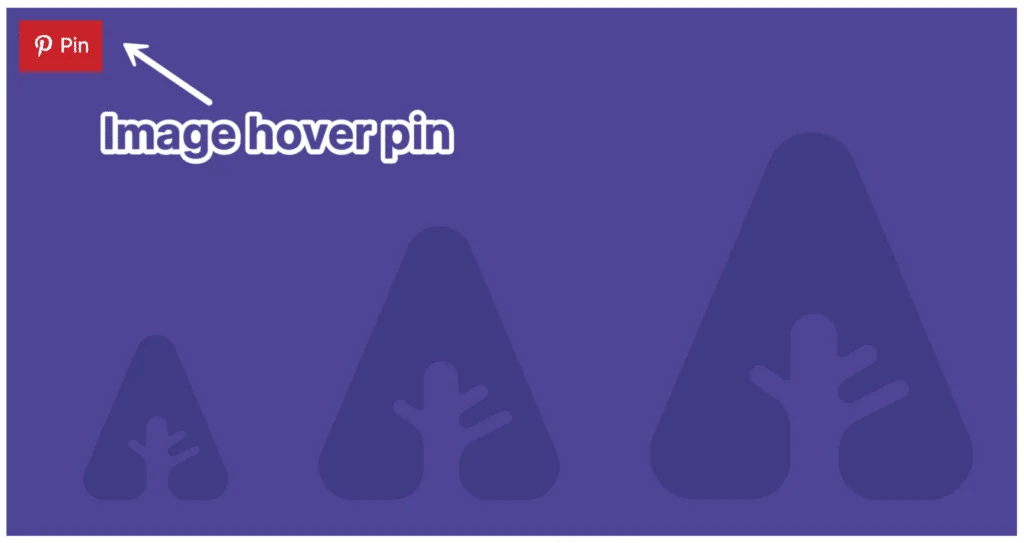 Novashare v1.3.0 NULLED - WordPress Social Sharing Plugin 5 Ghim di chuột qua hình ảnh Pinterest