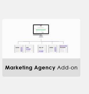 Add-ons ads pro plugin