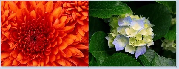 Cách kết hợp hai hình ảnh / hình ảnh mà không cần Photoshop 20 hình ảnh cuối cùng