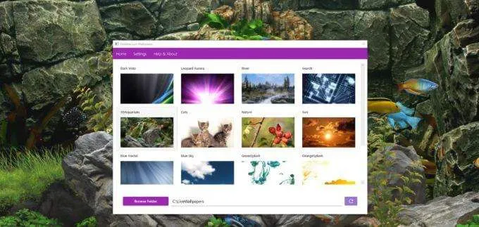 Cách thay đổi nền màn hình của bạn trong Windows 10 28 Cách thay đổi nền màn hình của bạn trong Windows 10