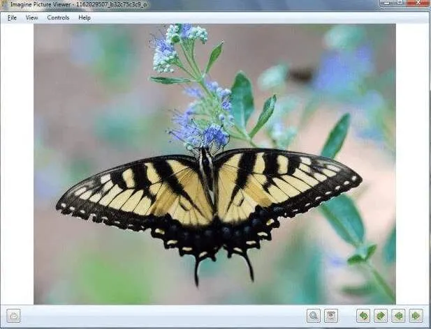 Trình xem ảnh tốt nhất cho Windows 10: 8 Ứng dụng được so sánh 12 Trình xem ảnh tốt nhất cho Windows 10: 8 Ứng dụng được so sánh