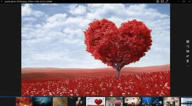 Trình xem ảnh tốt nhất cho Windows 10: 8 Ứng dụng được so sánh 6 Trình xem ảnh tốt nhất cho Windows 10: 8 Ứng dụng được so sánh